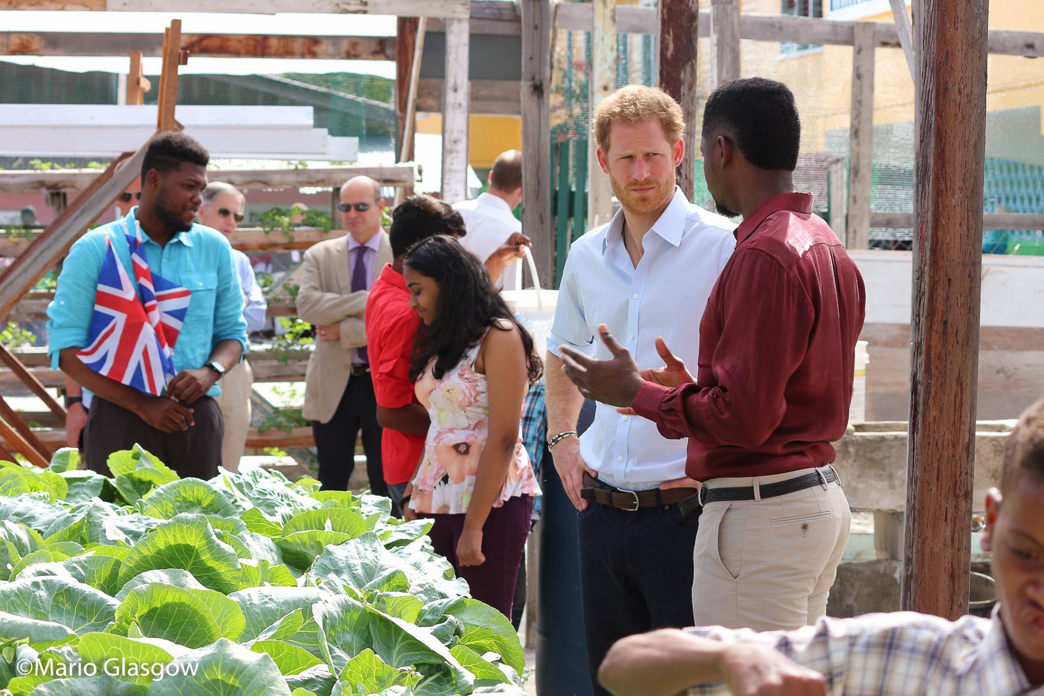 15288619 10157926070595360 7022316870982606170 O