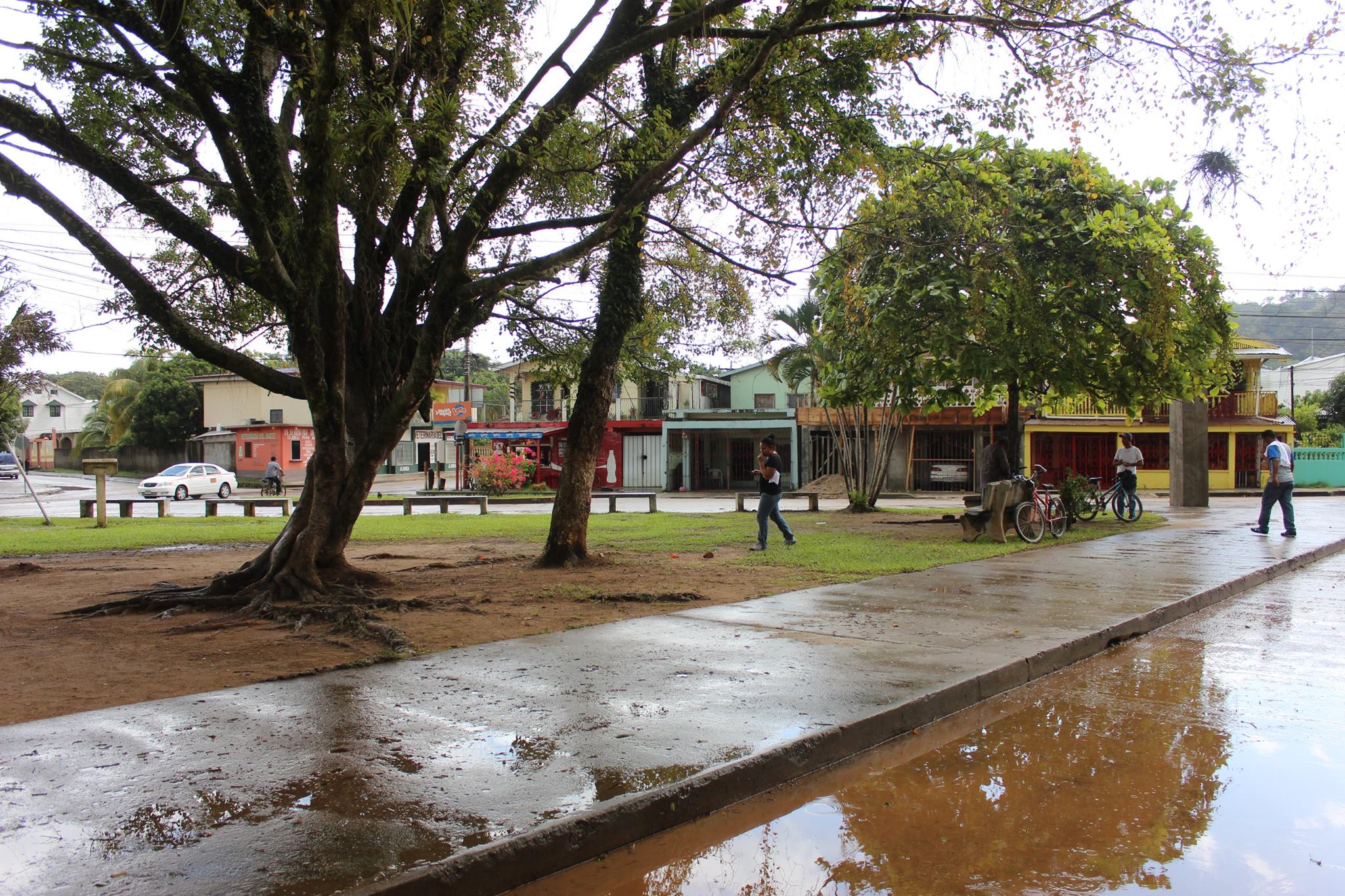 16252247 10212839696814368 6504332503957353962 O