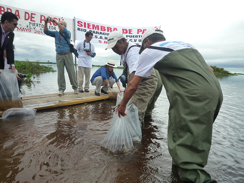 49σñ½Σ║║πü«µö╛µ╡ü