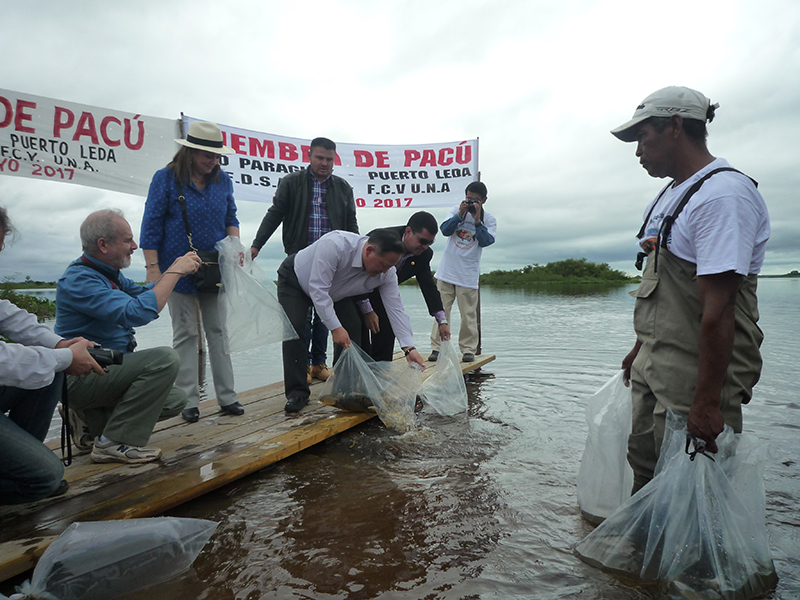 50µû░σñºΘÖ╕Σ╝ÜΘò╖