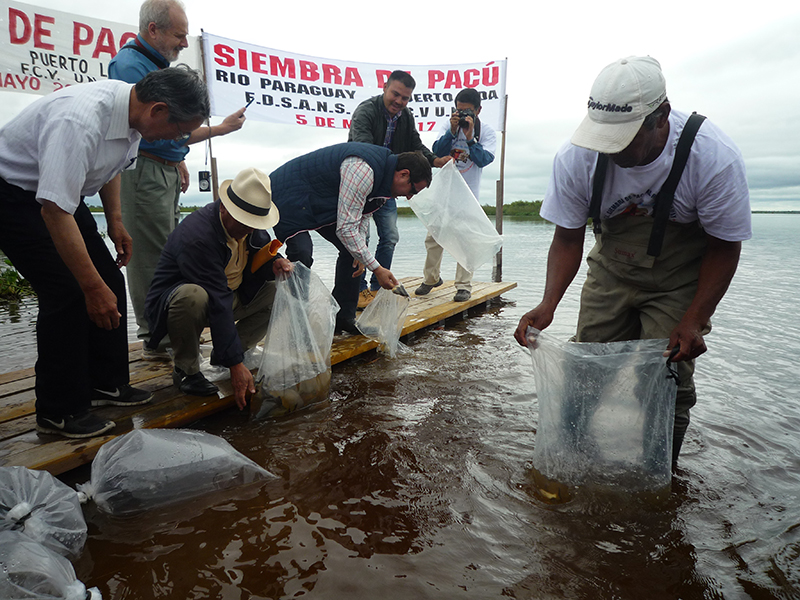 52σàâσñºτ╡▒Θáÿ