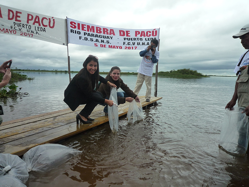53µ£ÇΘ½ÿΦúüΣ║ïσïÖµû╣σÑ│µÇº