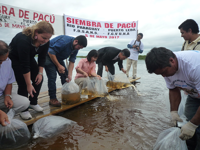 55πé½πâ│πâ¢πéÜπé»πéÖπâ⌐πâ│πâåπéÖπüïπéëσ£░σƒƒΘò╖σñ½σª╗