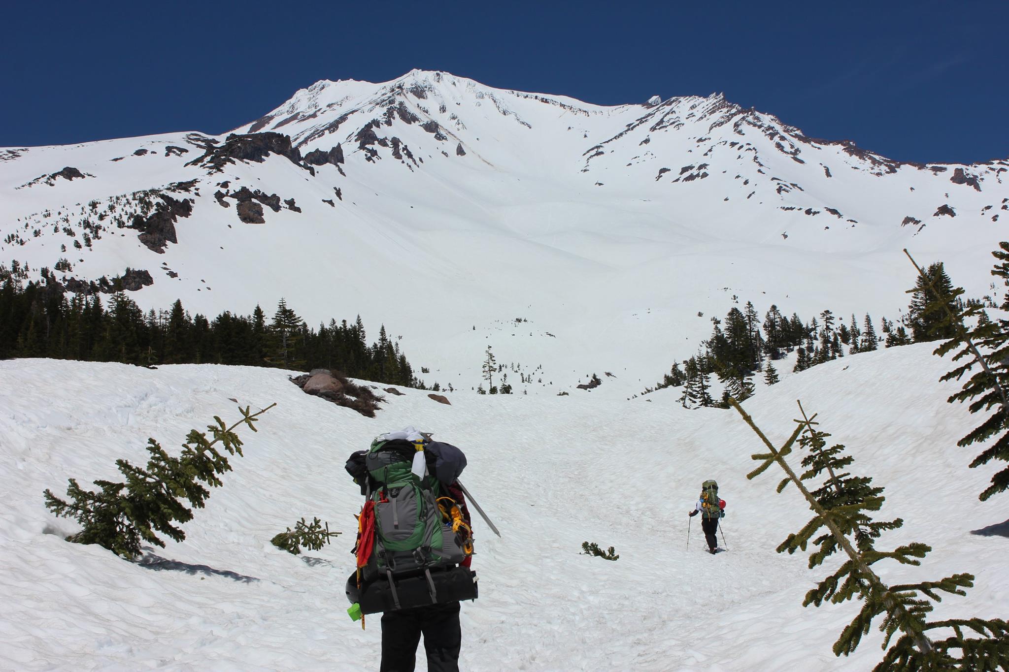 18879971 10214165740004619 8592737961137804778 O