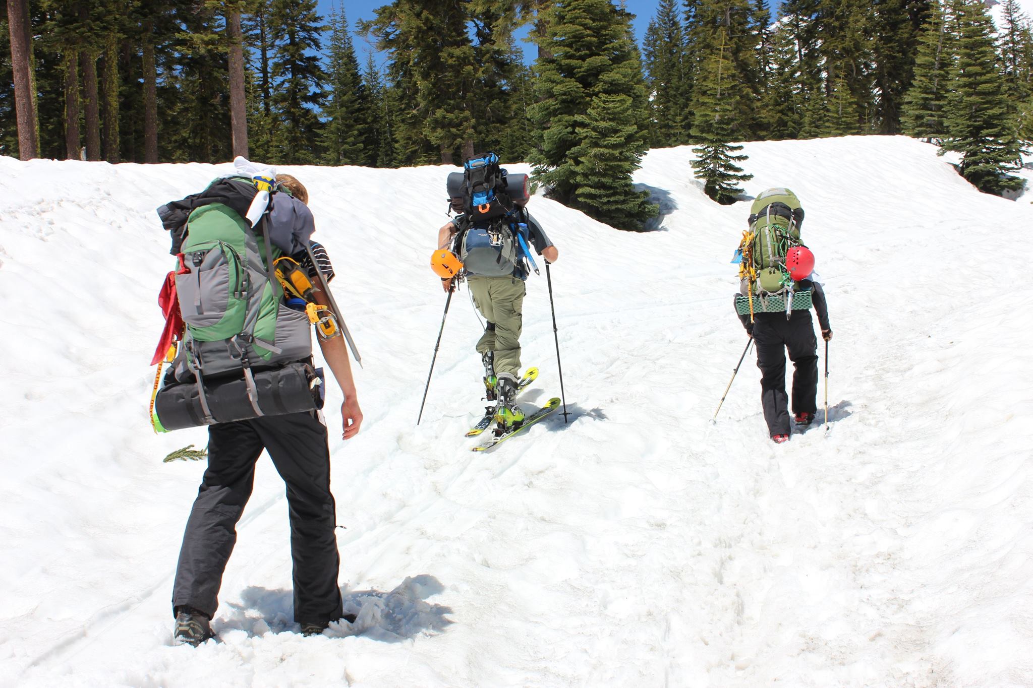 18880332 10214165742324677 7278031932098588059 O