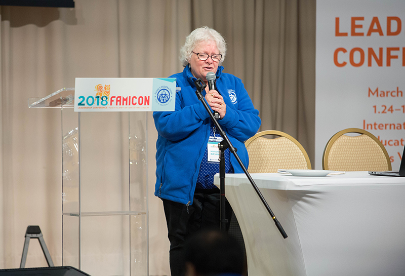 Famicon Orientation 4435