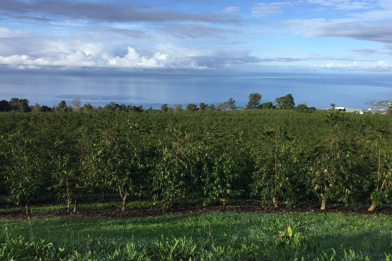  010401054673c2fe70e683fe466580257dab404cc4