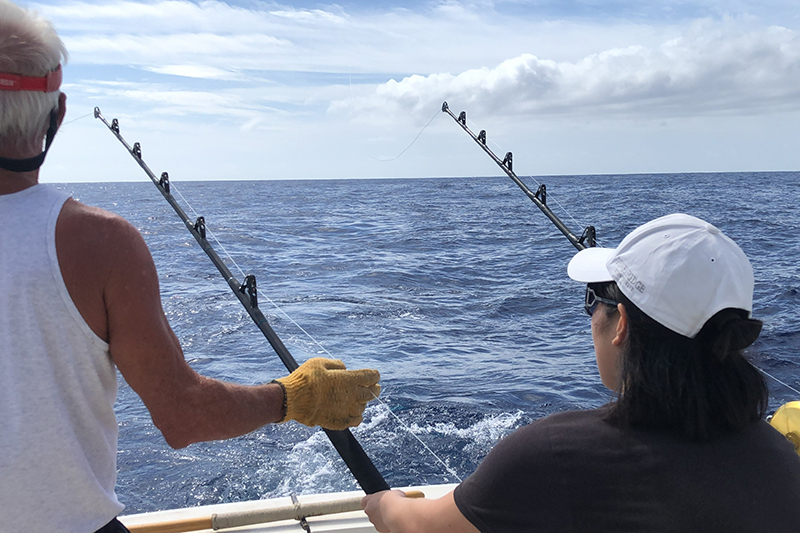  010d90893f70f8aeee98b59f9de480659716a88cea