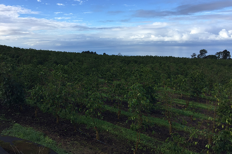  01b23739a6c51fb767b0039401c0a56308c03e1d29