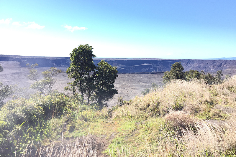  01ff051cf67e6ecf34218a5f53f2dcc5019c37398c