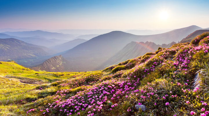 mountain landscape