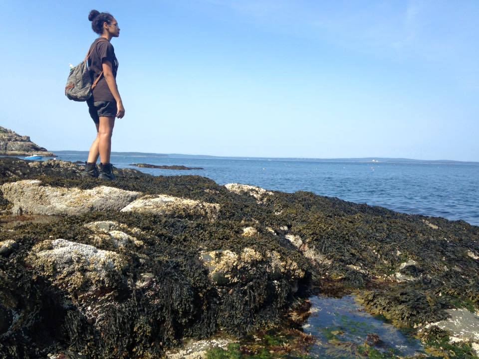 11737824_10153574886484884_9015727326839798863_n